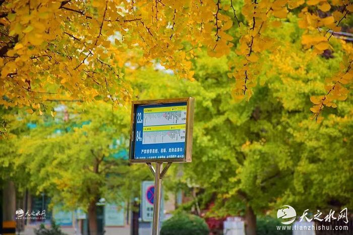 nEO_IMG_微信图片_20251104173847_540_269