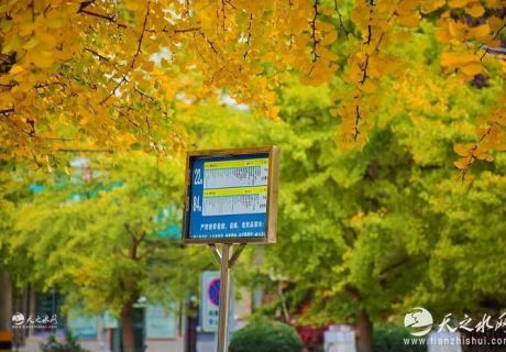 秋染羲皇故里：当金色天水遇见仙气文创