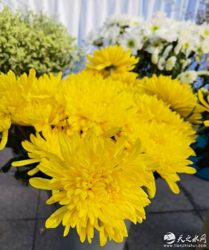 微信图片_202511051218441024_2