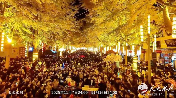 11月6日天水“黄金大道”11月7日浪漫启幕[00-00-08][20251106-201857260]