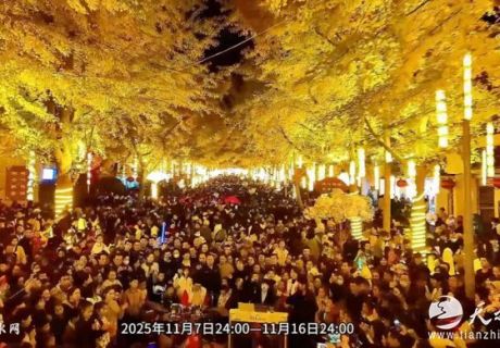 天水“黄金大道”11月7日浪漫启幕