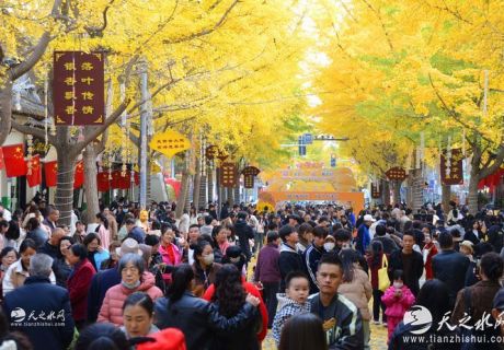 天小仙文创亮相天水黄金大道，为古城注入新活力