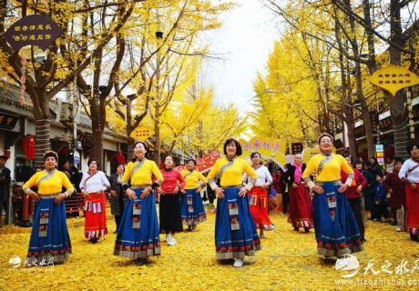 天水“黄金大道”嘉年华圆满谢幕：落叶为笺，共赴明年金色之约！