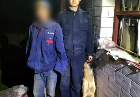 寒夜深山8小時(shí)疾行 警犬循味救回失聯(lián)采藥人——天水麥積公安警犬中隊(duì)成功完成一次生命救援