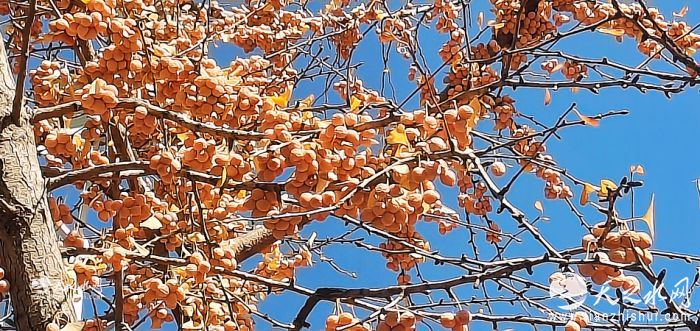 nEO_IMG_微信圖片_20251121215005_1520_38