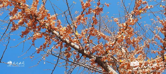 nEO_IMG_微信圖片_20251121215012_1523_38