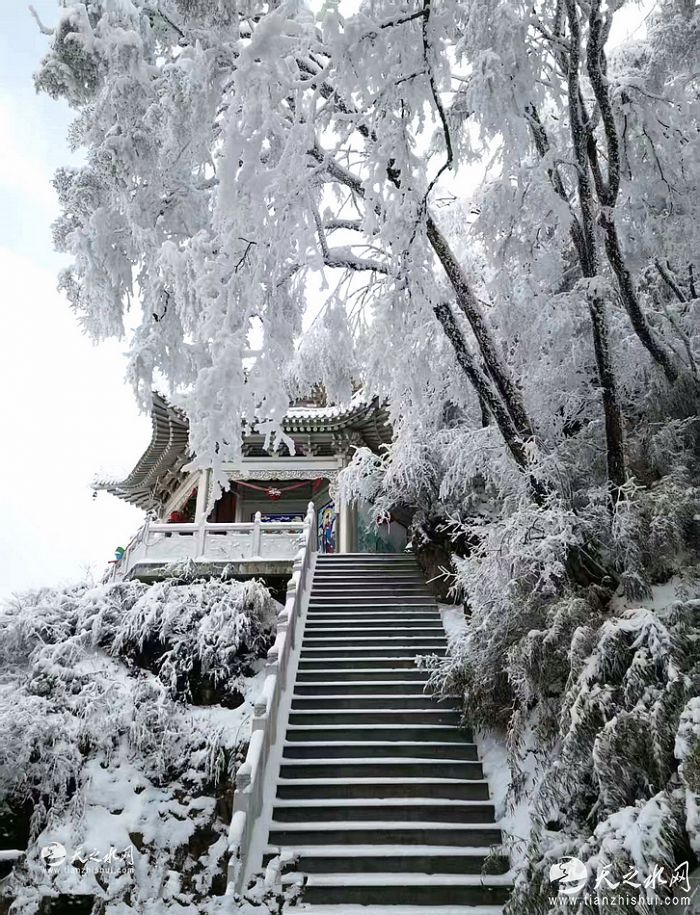 nEO_IMG_33f773446ddcc25b0bf0da4b1b0f41ce