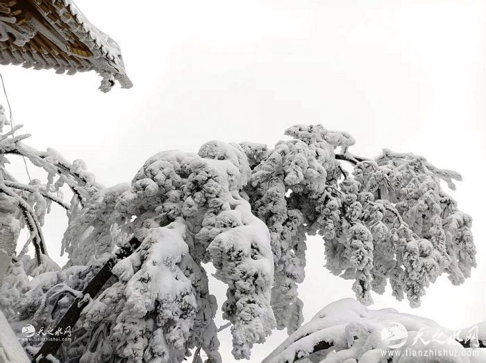 nEO_IMG_54941481887fa0402e979b39ed7336fe