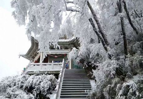 天水迎来入冬首场降雪  白音山现玉树琼花盛景（图）