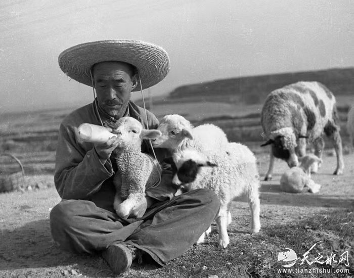 5a8dfb89d2d50eeb5fc8d0a8446a61cd