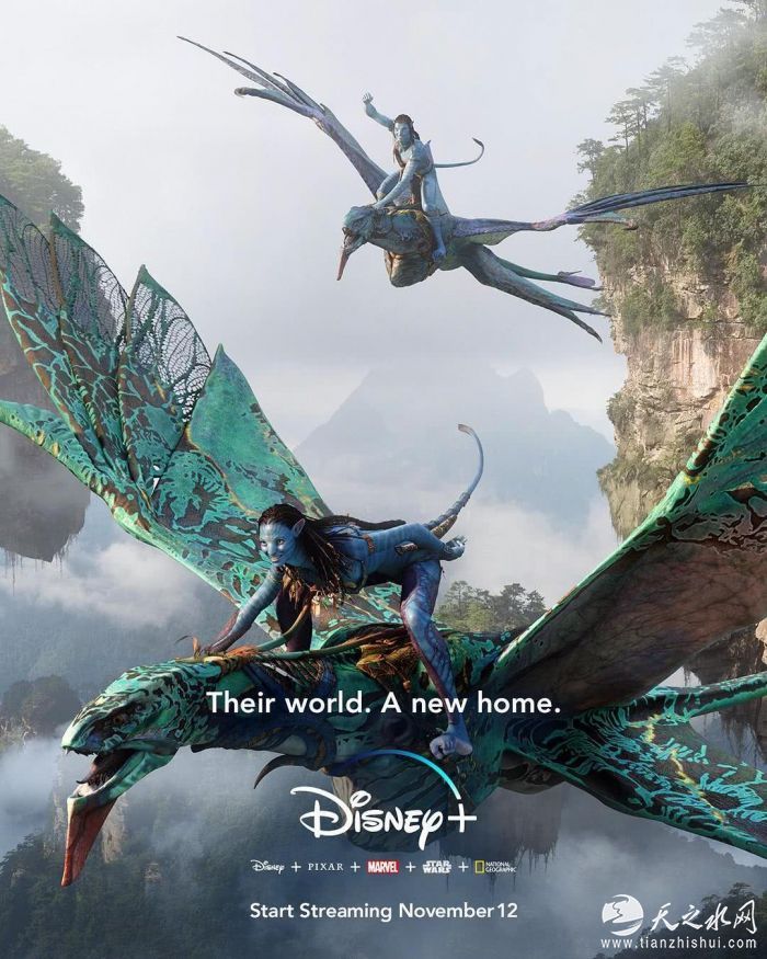 c938c6894ff0e1249bc9f3c0a2f529ee