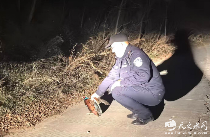 dabf3600-c154-48b4-be3c-f0beee1ea12a