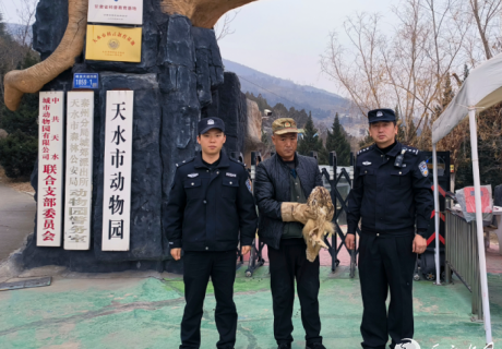 暖心救助受伤猫头鹰 守护生态安全显担当