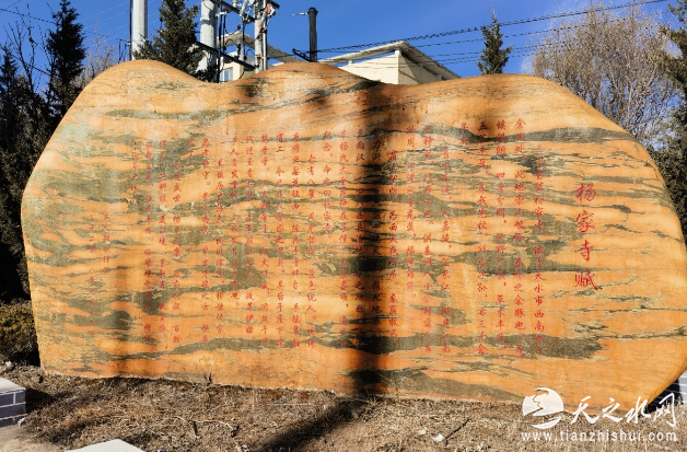 69d20f65-8f51-4634-a89b-e2941707a75f