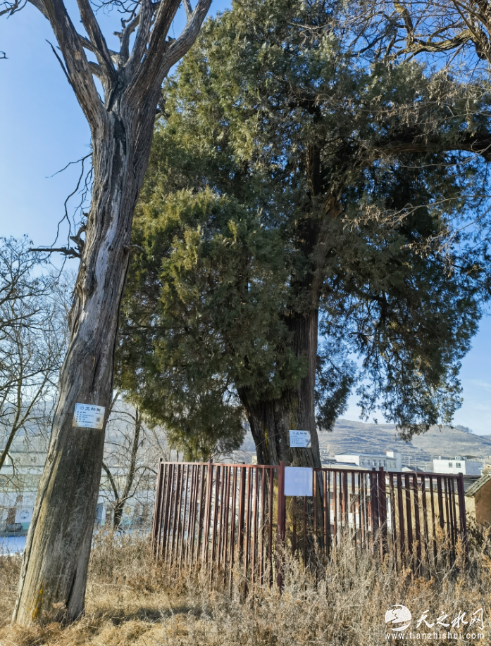 7a1225b6-03da-4172-81e5-2aa633f3cd1d