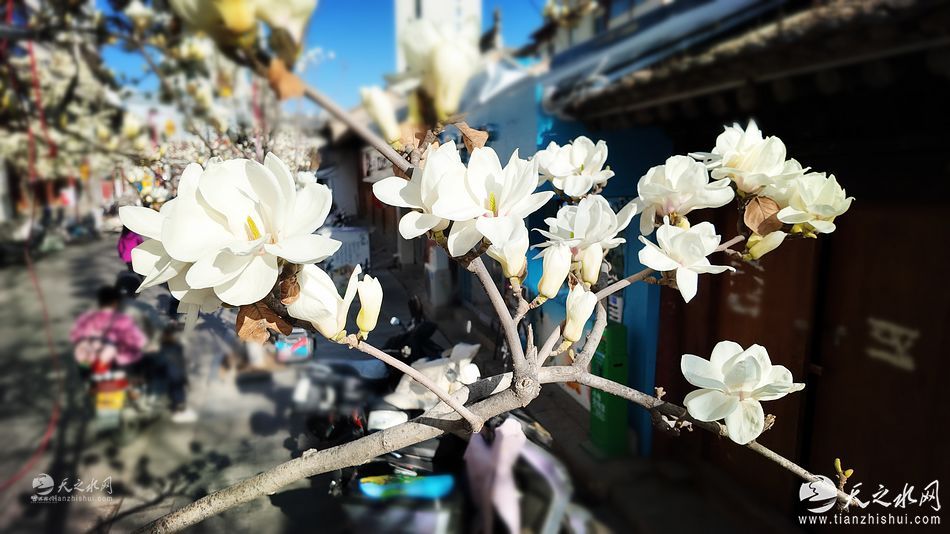 nEO_IMG_DJI_20260310163329_0059_D