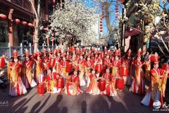 甘肃天水：玉兰花开春意浓，古巷幽深处处香