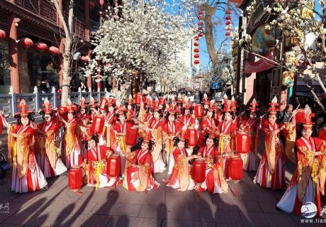 甘肃天水：玉兰花开春意浓，古巷幽深处处香