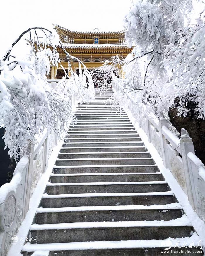 nEO_IMG_ec7b3fd25c41e854b0c26028ae7b0178