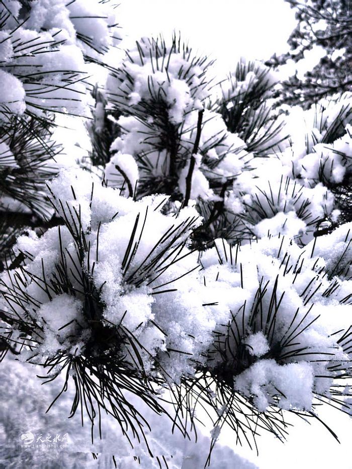 nEO_IMG_8d90a89af6a5bcbee142237e156d7c78