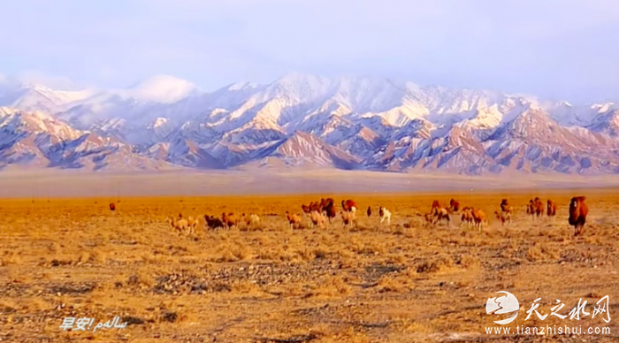 8ee5f627-7192-4828-a1da-61e124f8ea6b