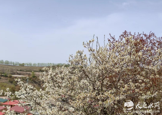 98c791fc-08c1-44d8-9f45-6d27ea0355b7